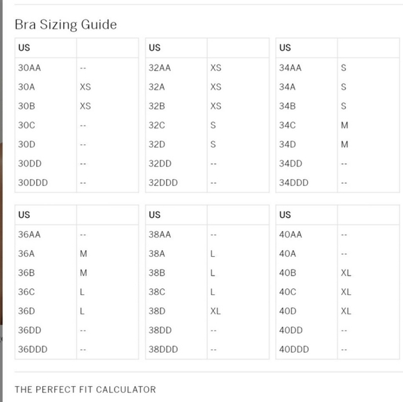 VICTORIA'S SECRET SWAROVSKI CRYSTALS FANTASY BRA - Picture 7 of 8